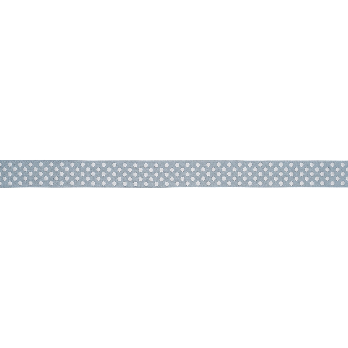 DOTTED EMBROIDERED TAPE_ SKY