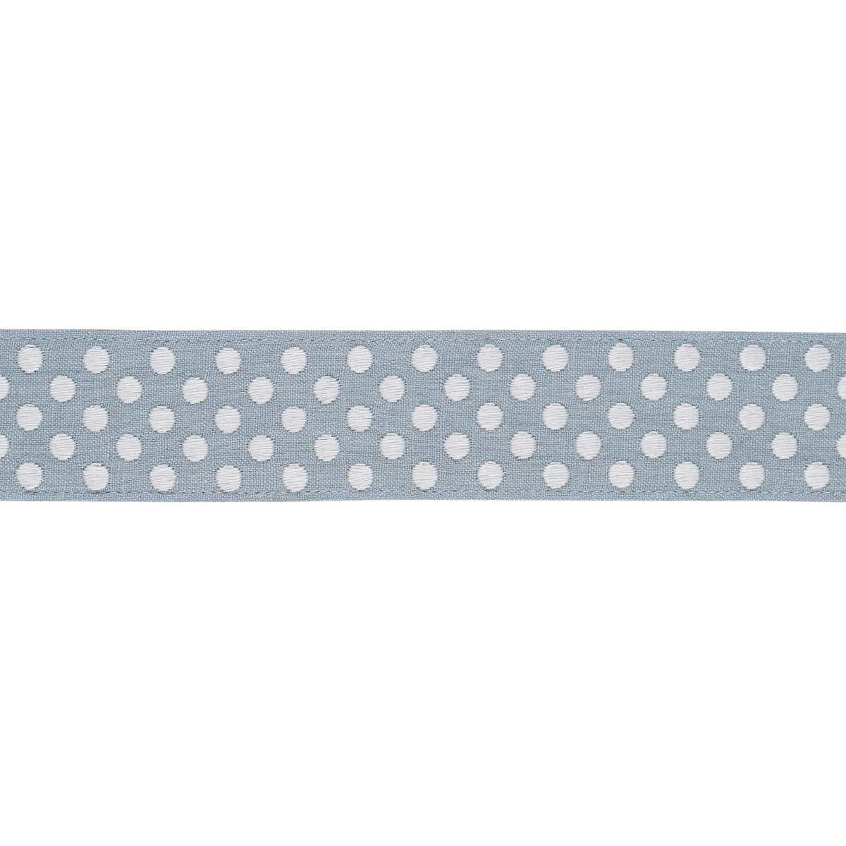 DOTTED EMBROIDERED TAPE_ SKY
