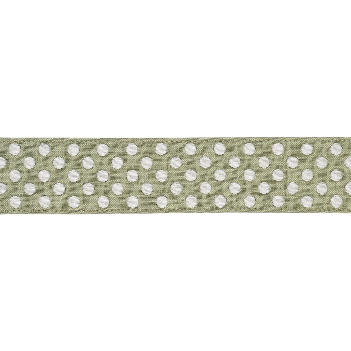 DOTTED EMBROIDERED TAPE_ SAGE