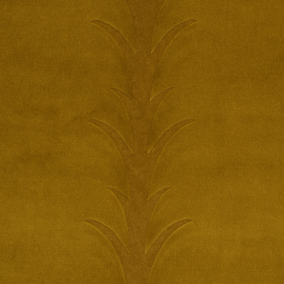 ACANTHUS STRIPE VELVET_ OLIVE