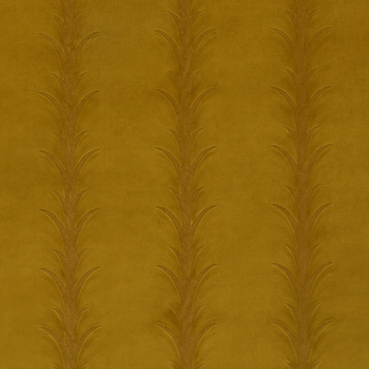ACANTHUS STRIPE VELVET_ OLIVE