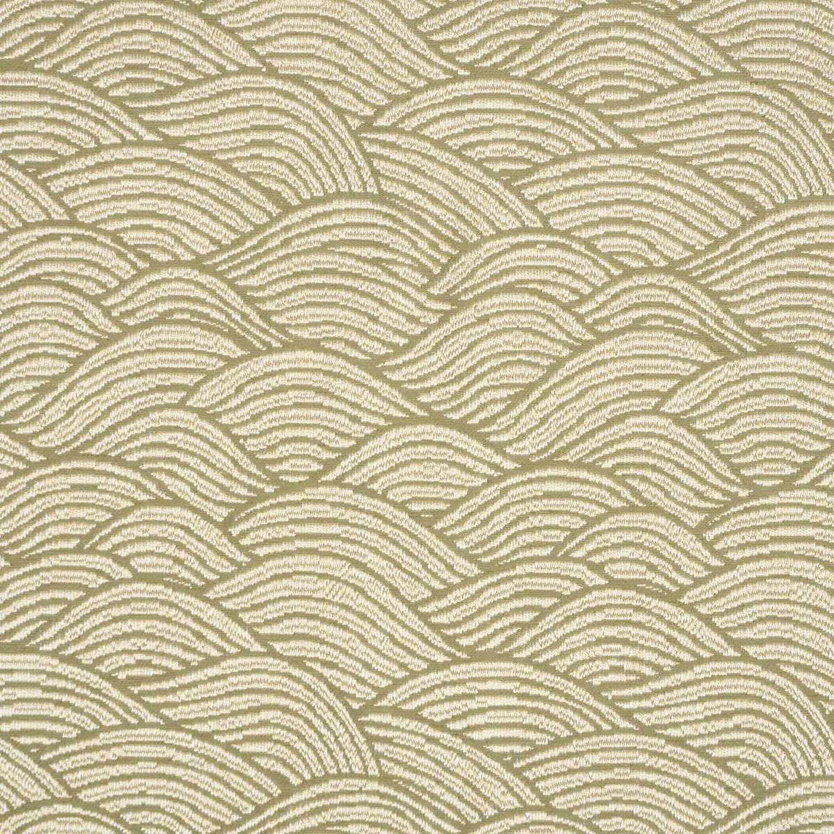 SYMPHONY SCALLOP_ OLIVE