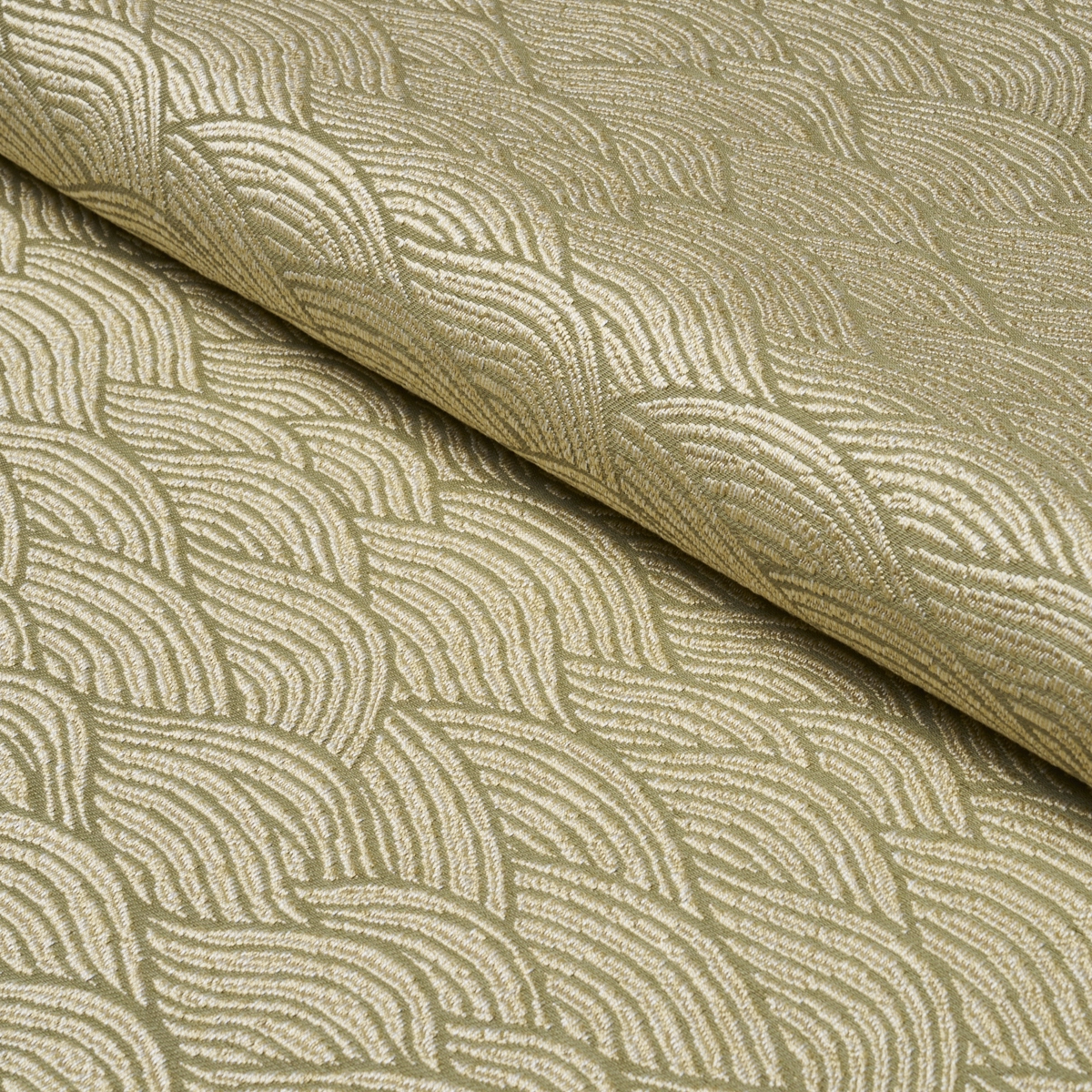 SYMPHONY SCALLOP_ OLIVE