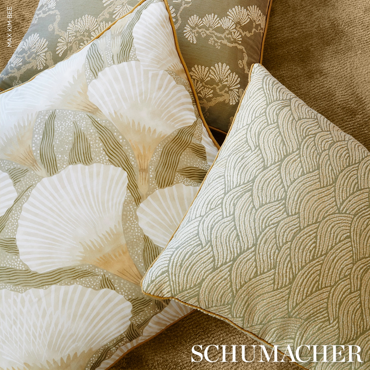 SYMPHONY SCALLOP_ OLIVE