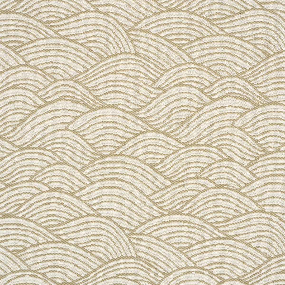 SYMPHONY SCALLOP_ NEUTRAL