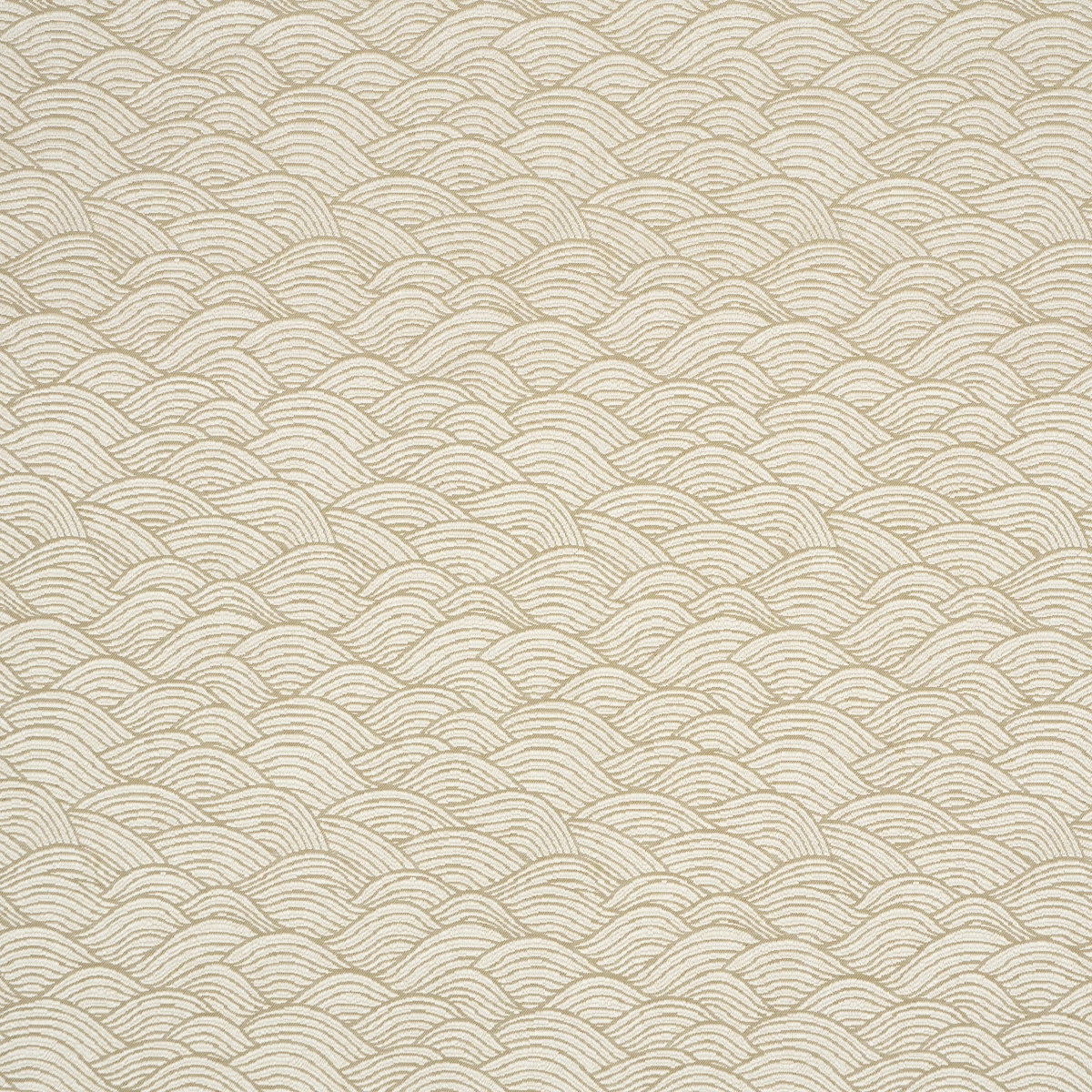 SYMPHONY SCALLOP_ NEUTRAL