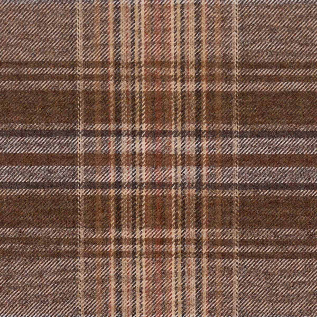 CAMPBELL PLAID_ TERRA