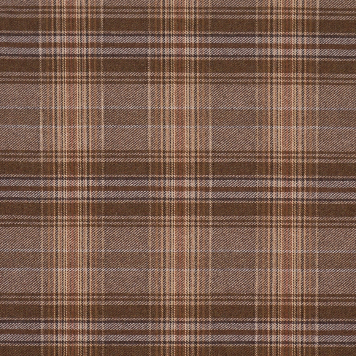 CAMPBELL PLAID_ TERRA