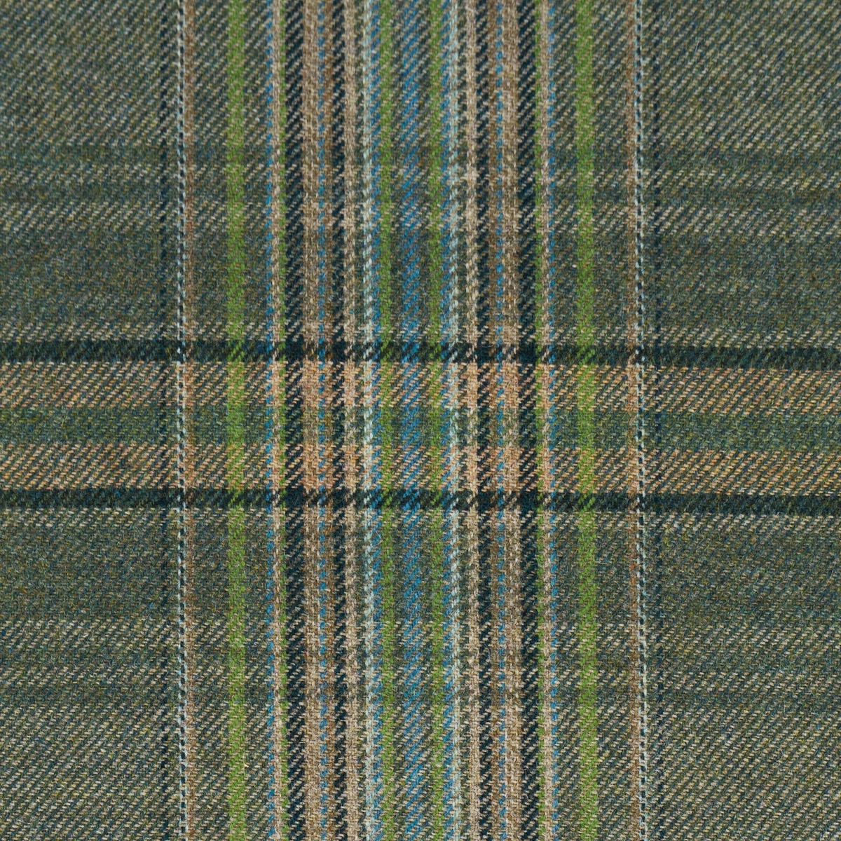CAMPBELL PLAID_ FOREST