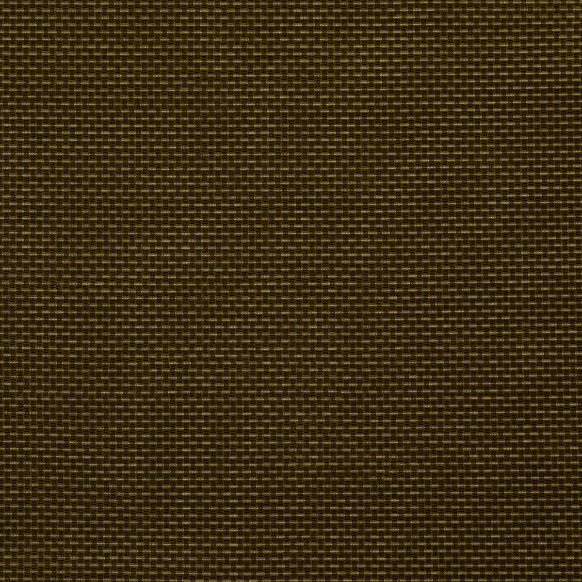 NIKKI PERFORMANCE_ OLIVE