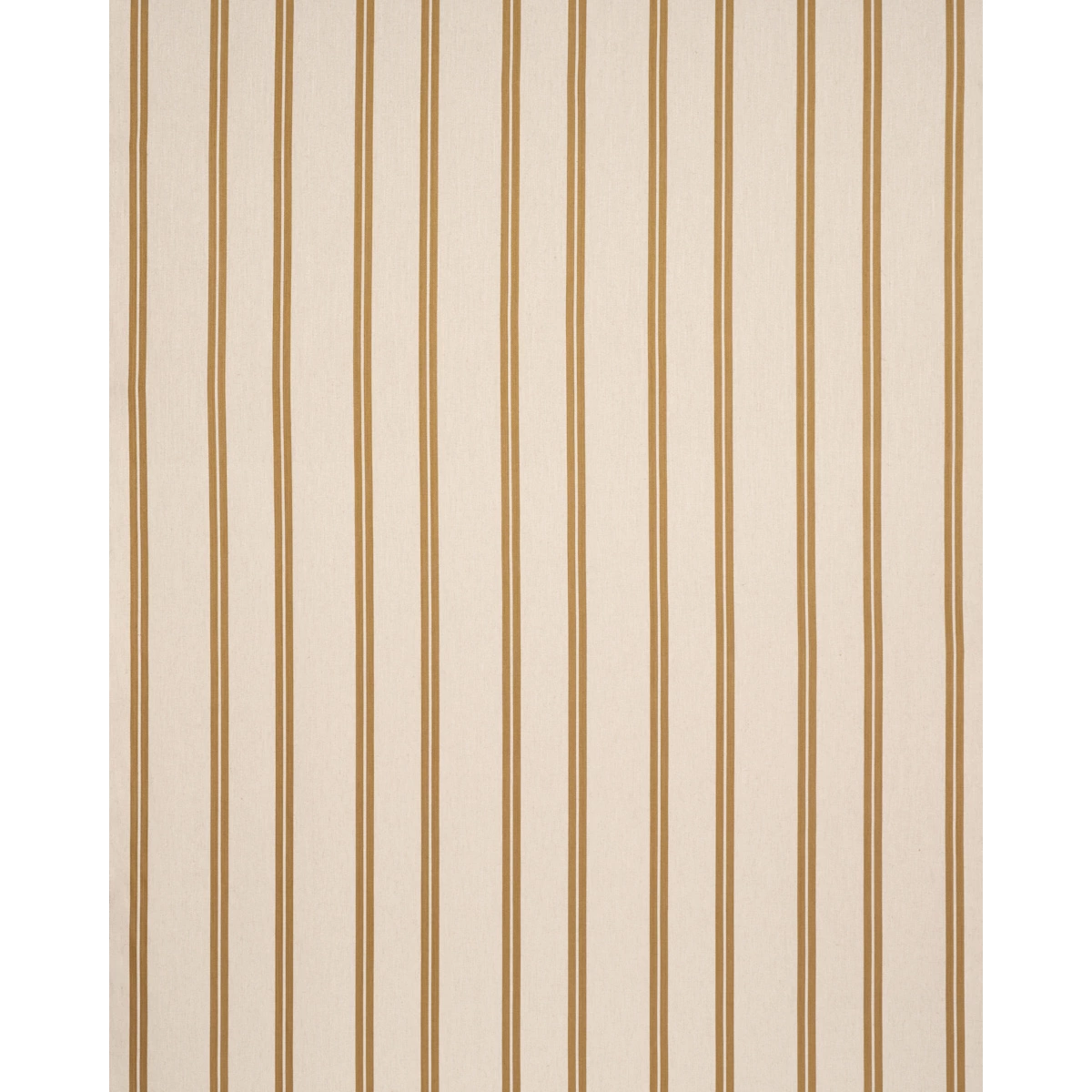 DOUBLE FACE STRIPES_ CHARTREUSE
