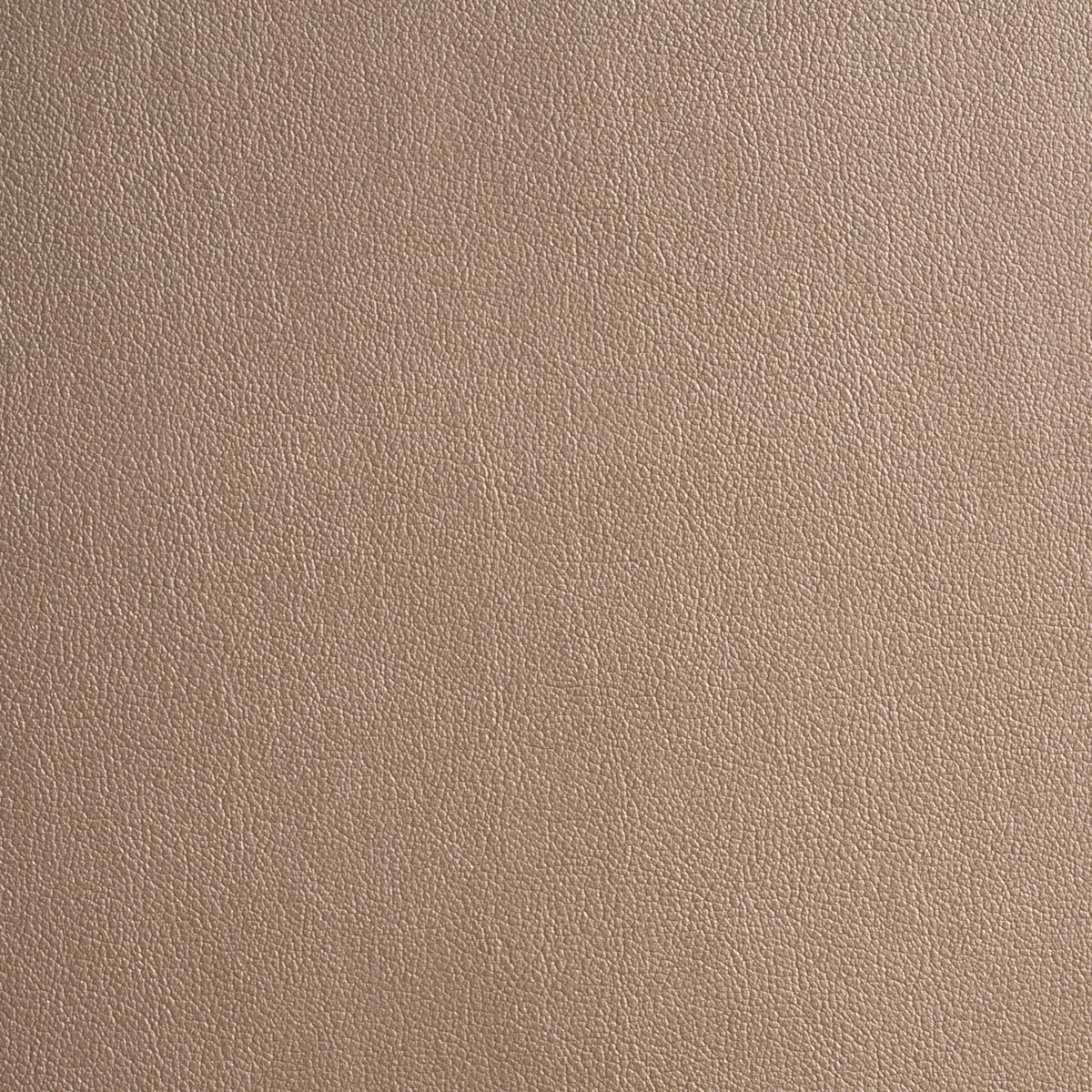 METALLIC VEGAN LEATHER OUTDOOR_ DUNE