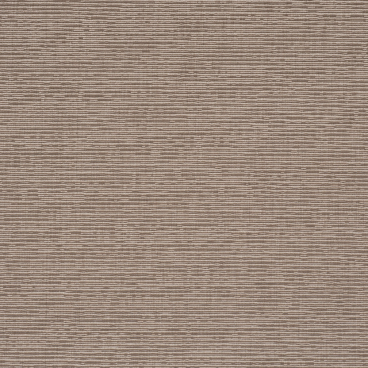 EISENHOWER FAILLE_ NEUTRAL