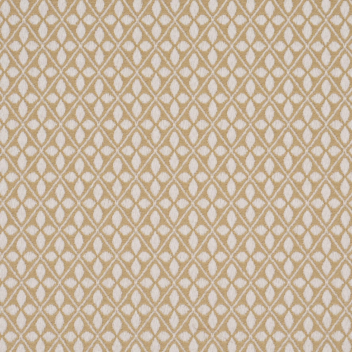 ADAMS DAMASK_ NEUTRAL