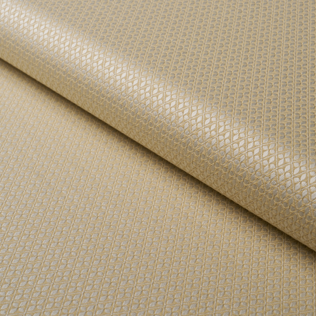 ADAMS DAMASK_ NEUTRAL