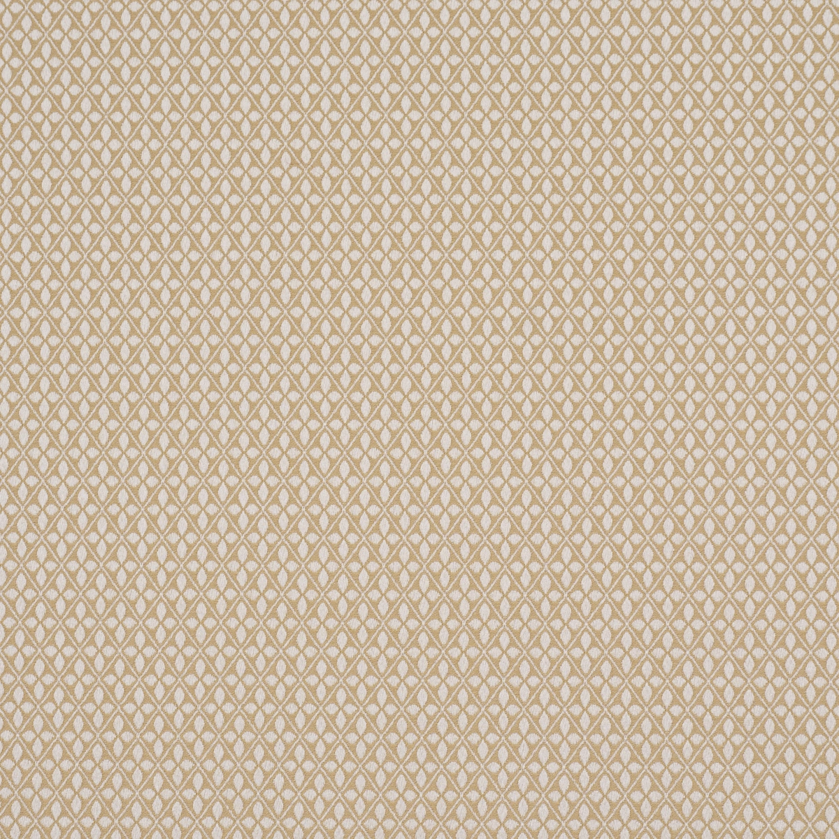 ADAMS DAMASK_ NEUTRAL