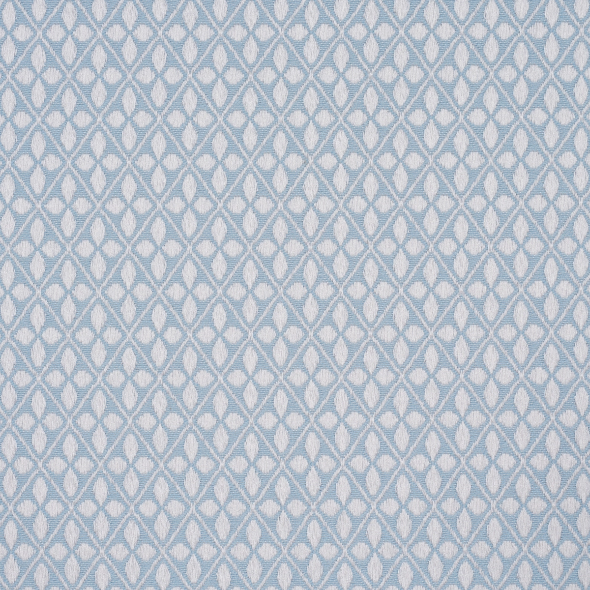 ADAMS DAMASK_ ROBIN'S EGG