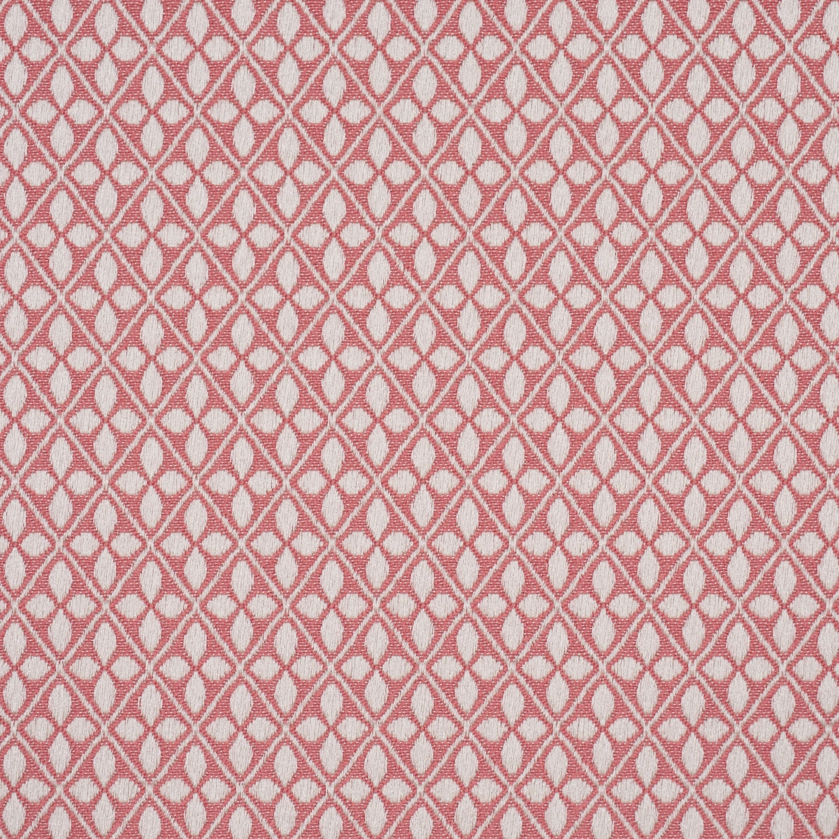 ADAMS DAMASK_ PINK