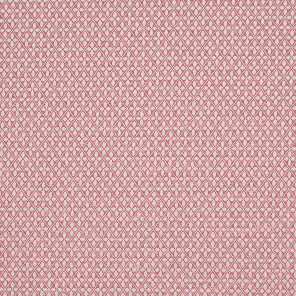 ADAMS DAMASK_ PINK