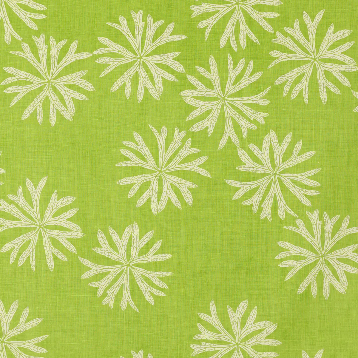 Everglades_ LAWN