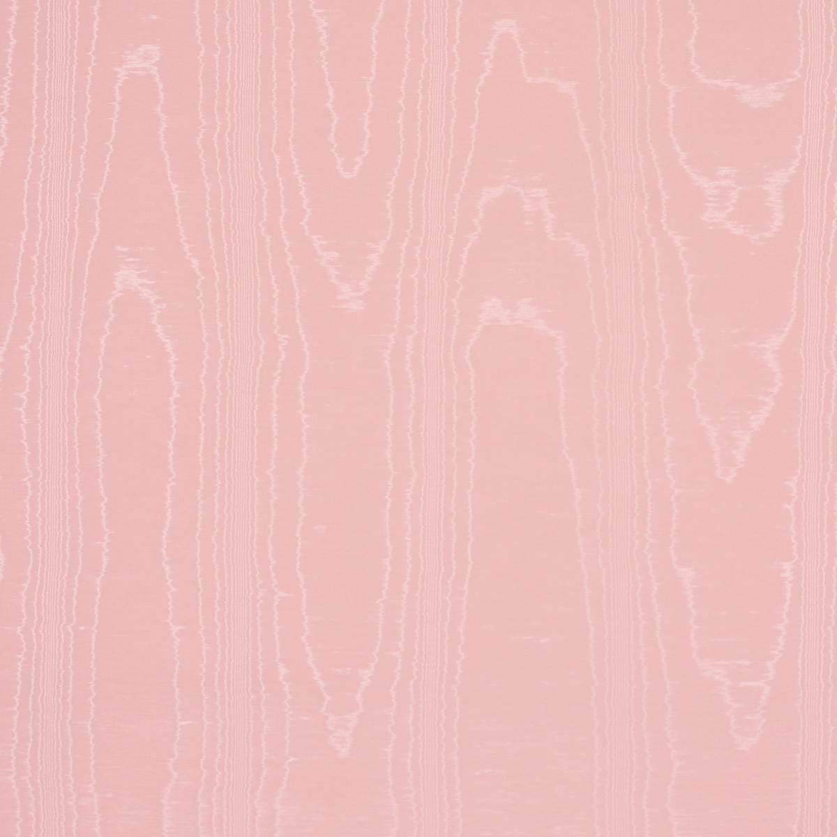 WASHINGTON MOIRÉ_ PINK