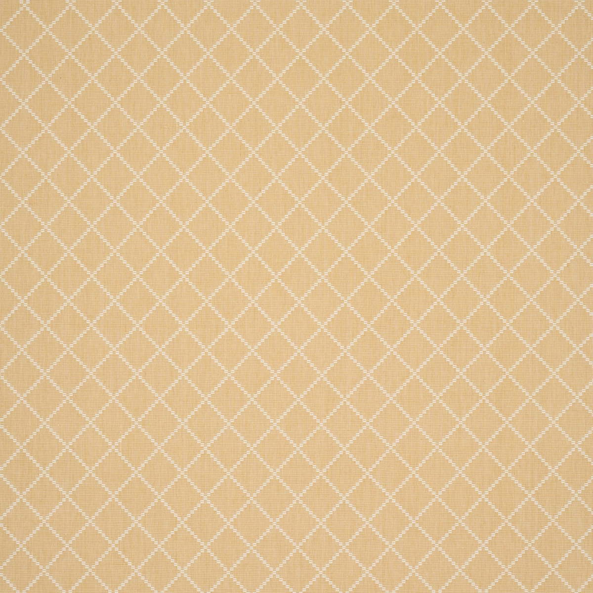 LIAM_ YELLOW