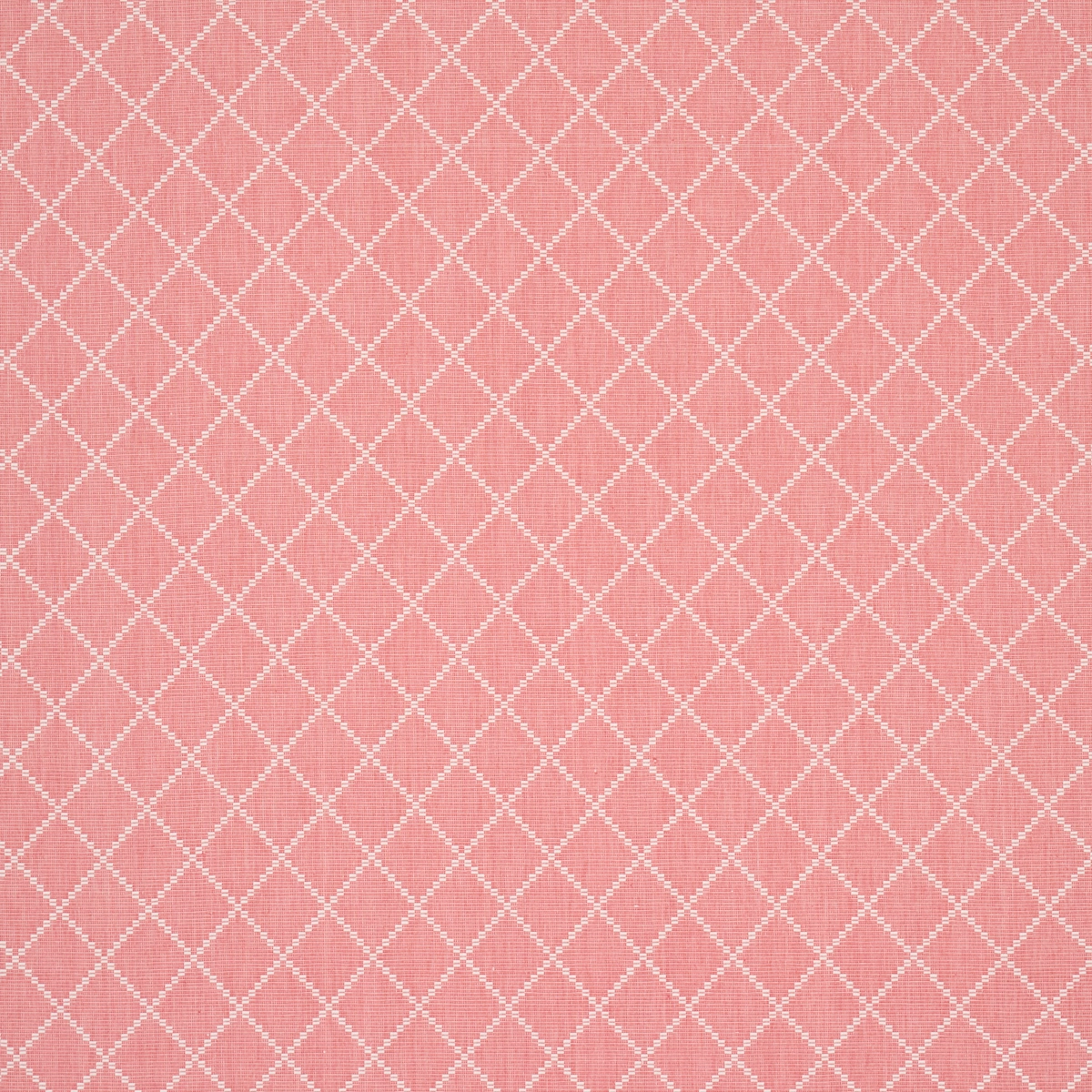 LIAM_ CORAL