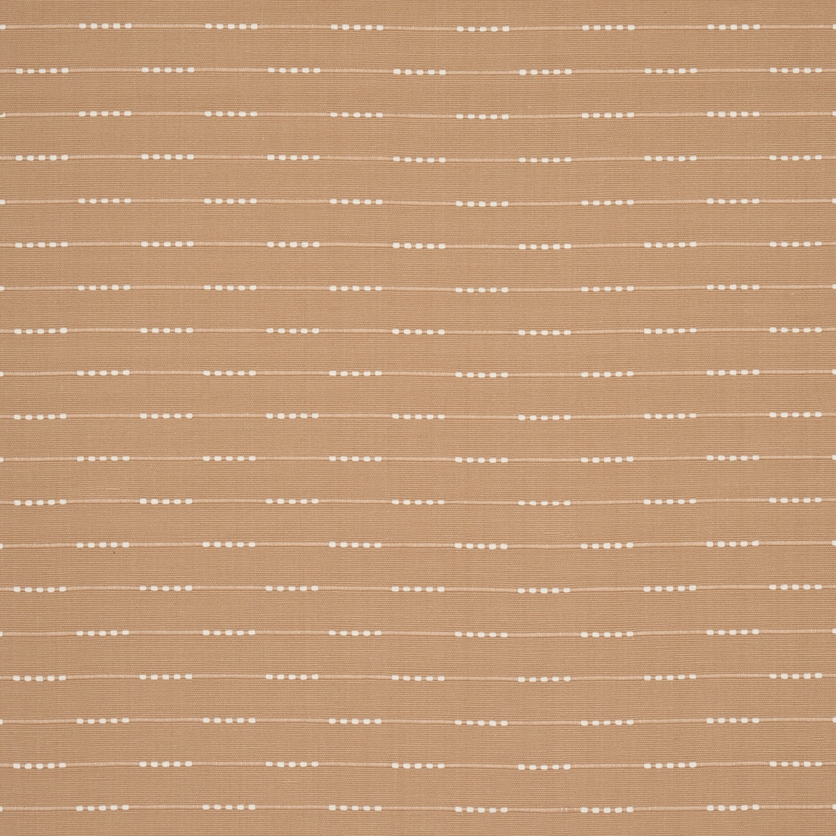 PALMER_ CAMEL