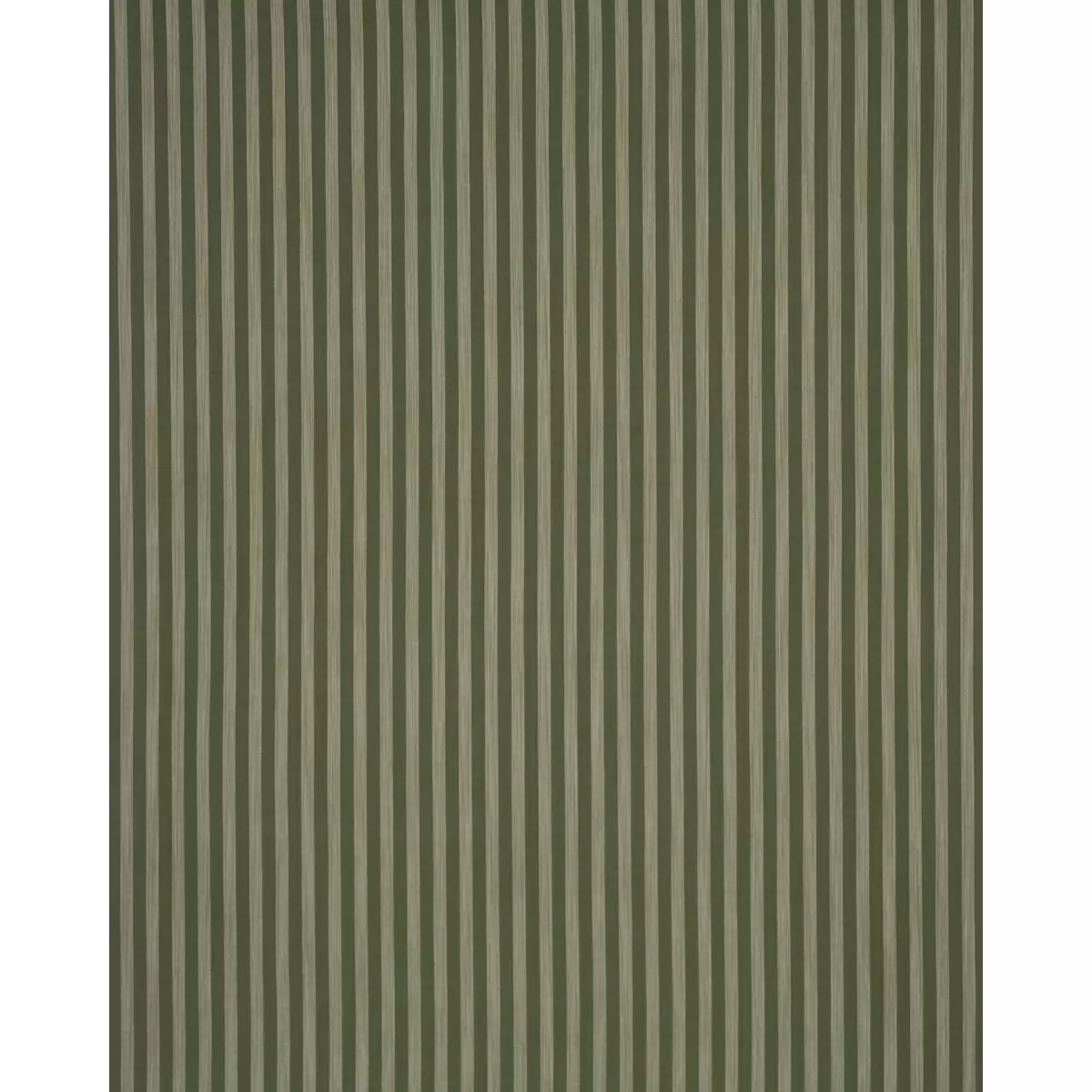 Jonah Stripe_ GREEN