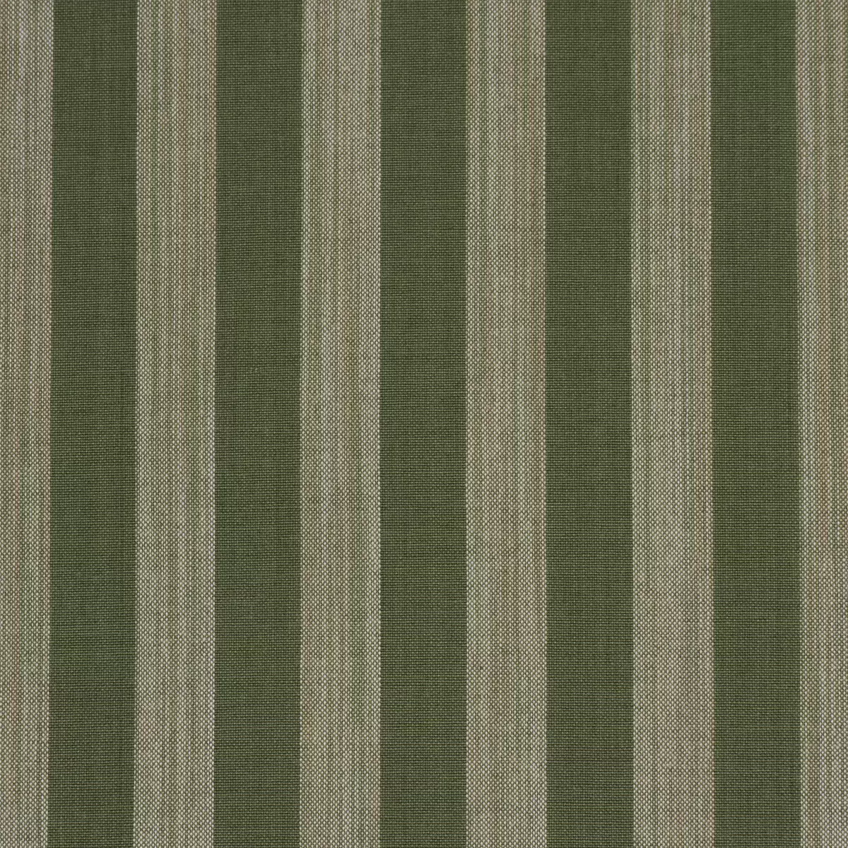 Jonah Stripe_ GREEN