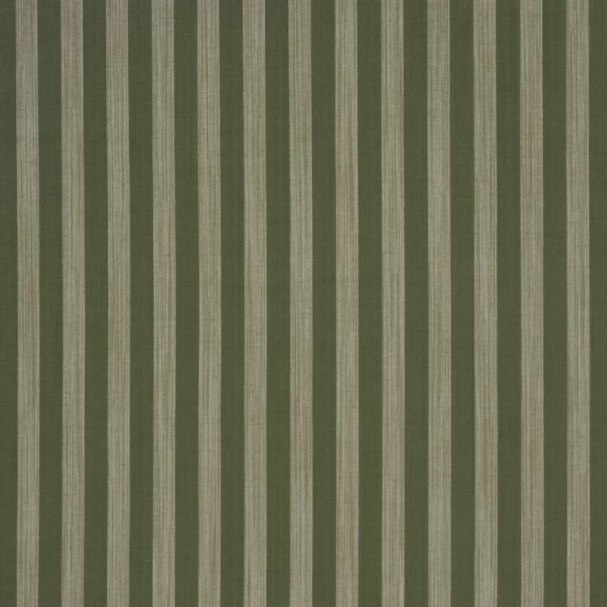 Jonah Stripe_ GREEN