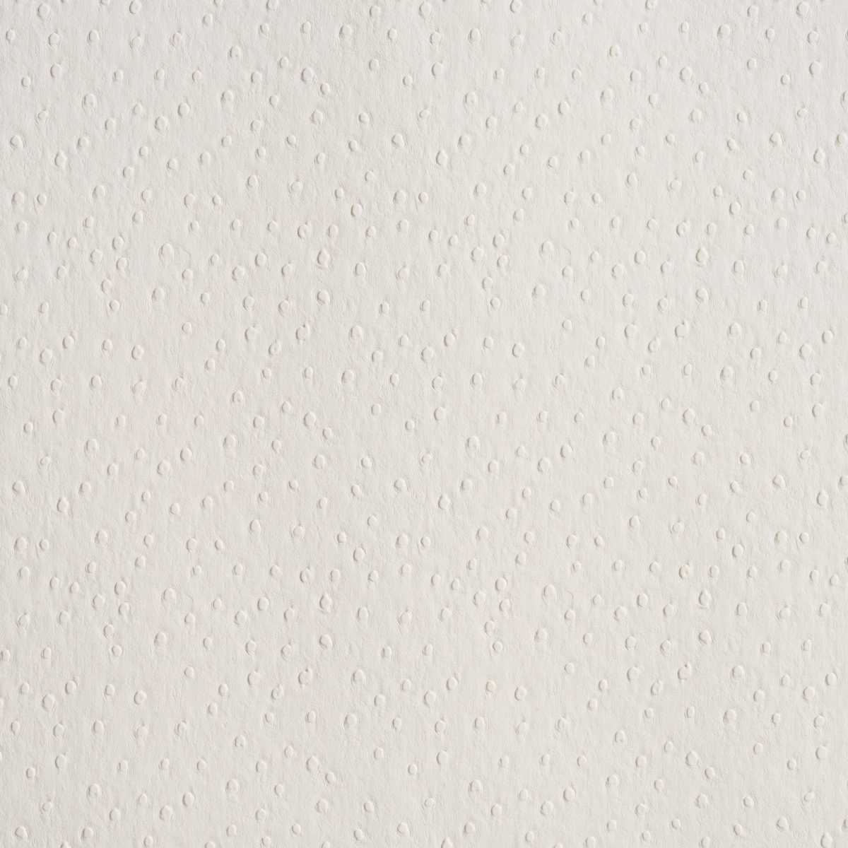 OSTRICH VEGAN LEATHER_ IVORY