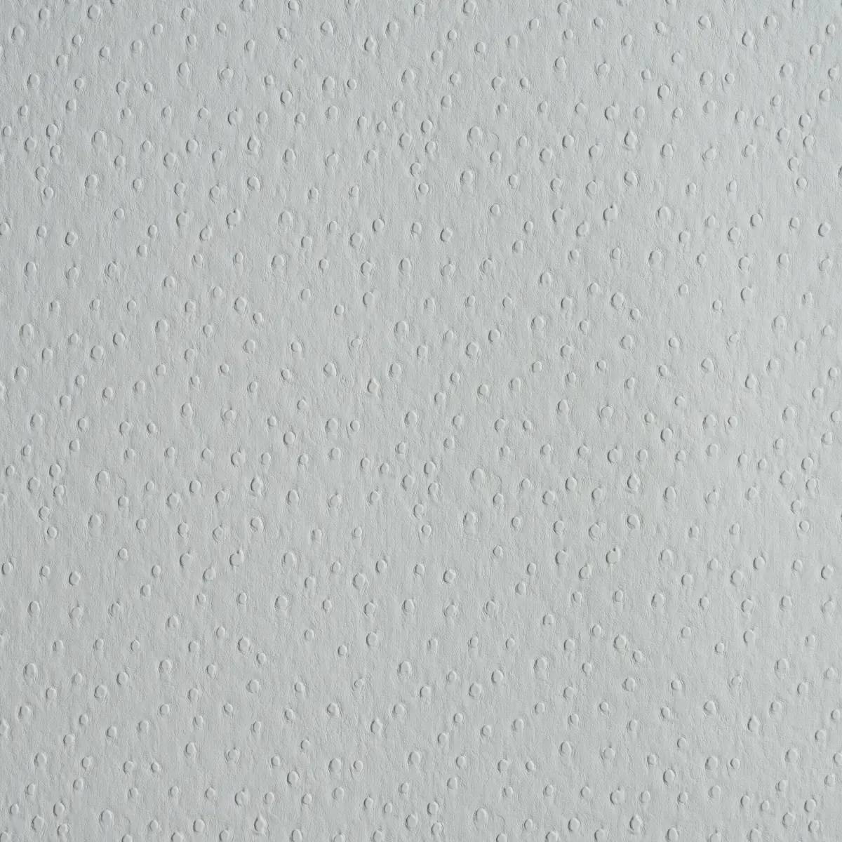 OSTRICH VEGAN LEATHER_ FOG