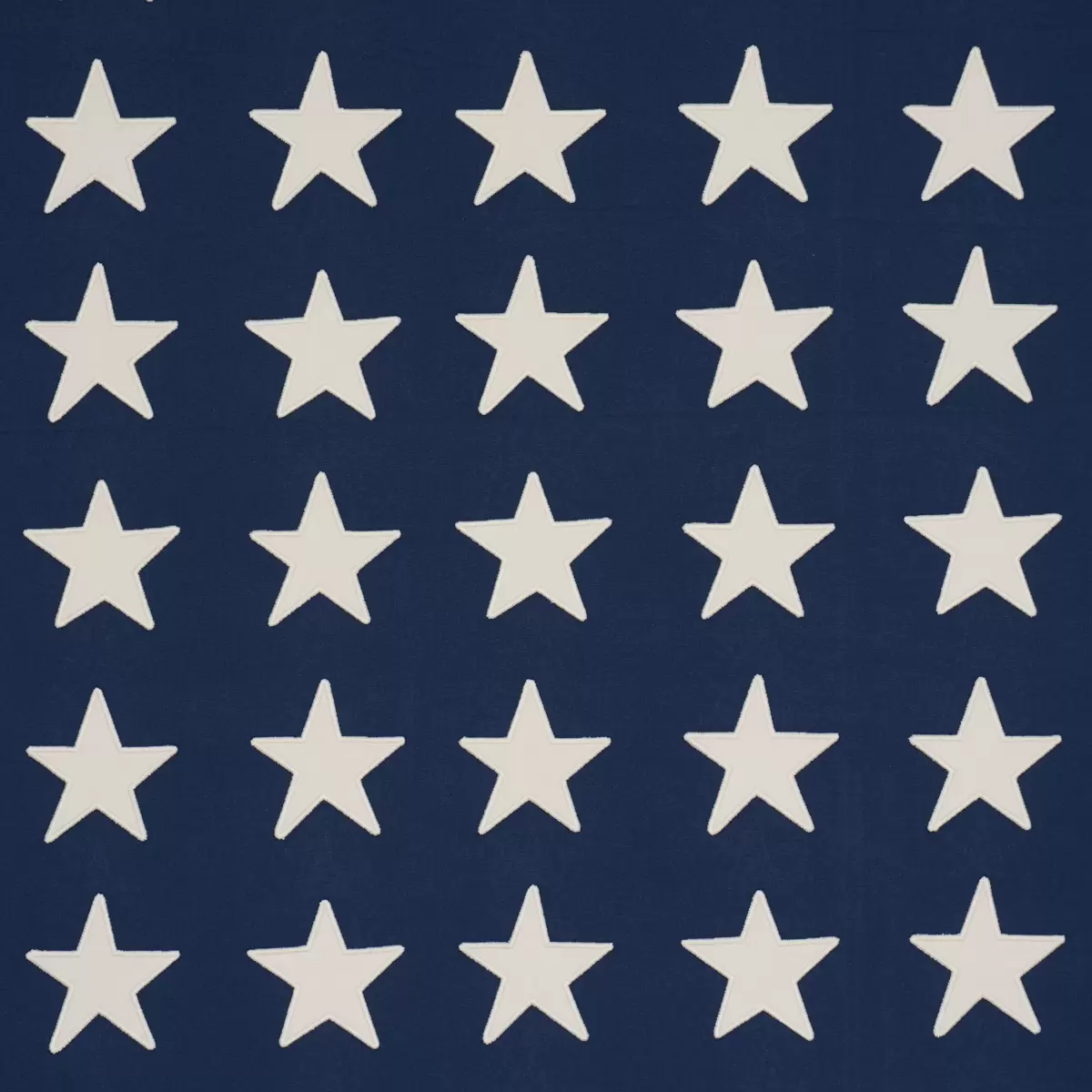Starfield Appliqué_ NAVY