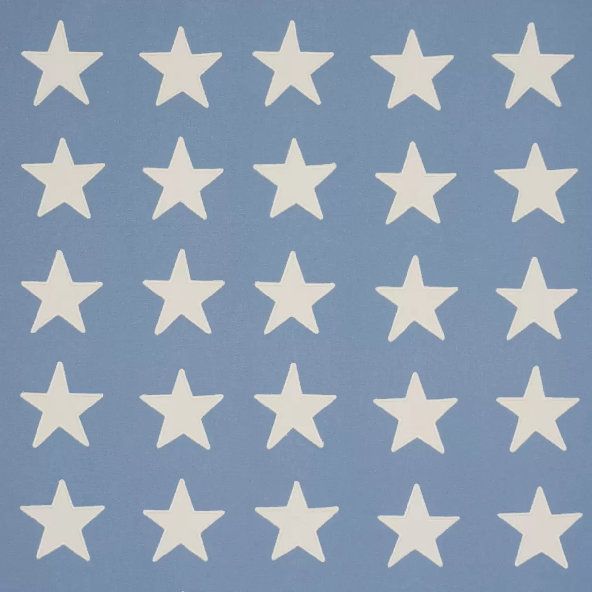 Starfield Appliqué_ SKY