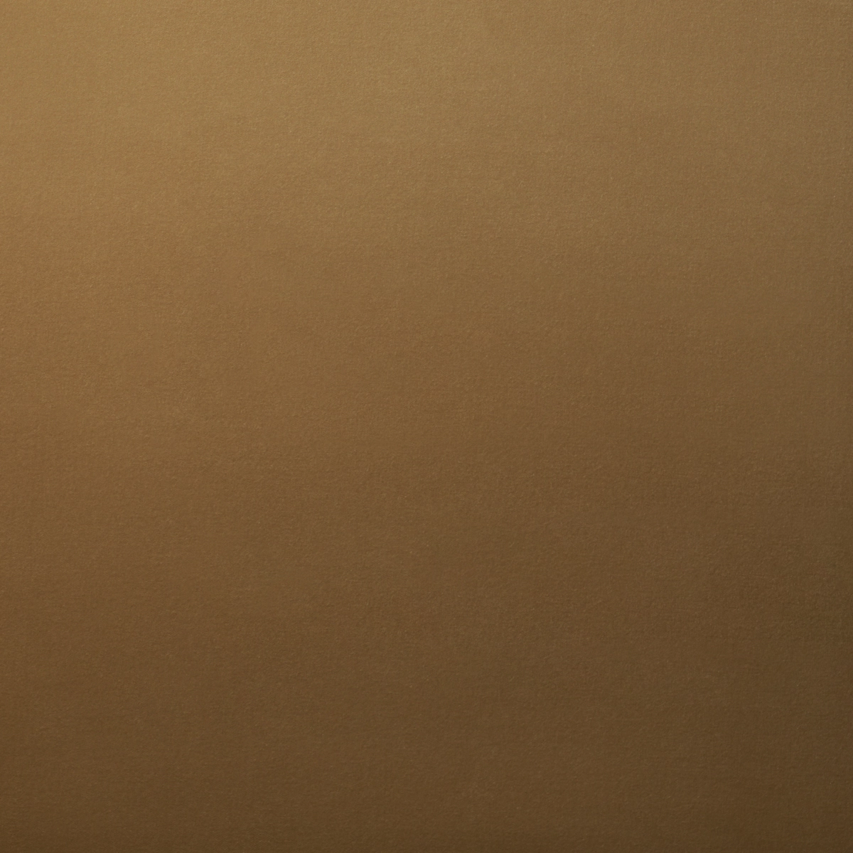 ROCKY PERFORMANCE VELVET_ CAMEL
