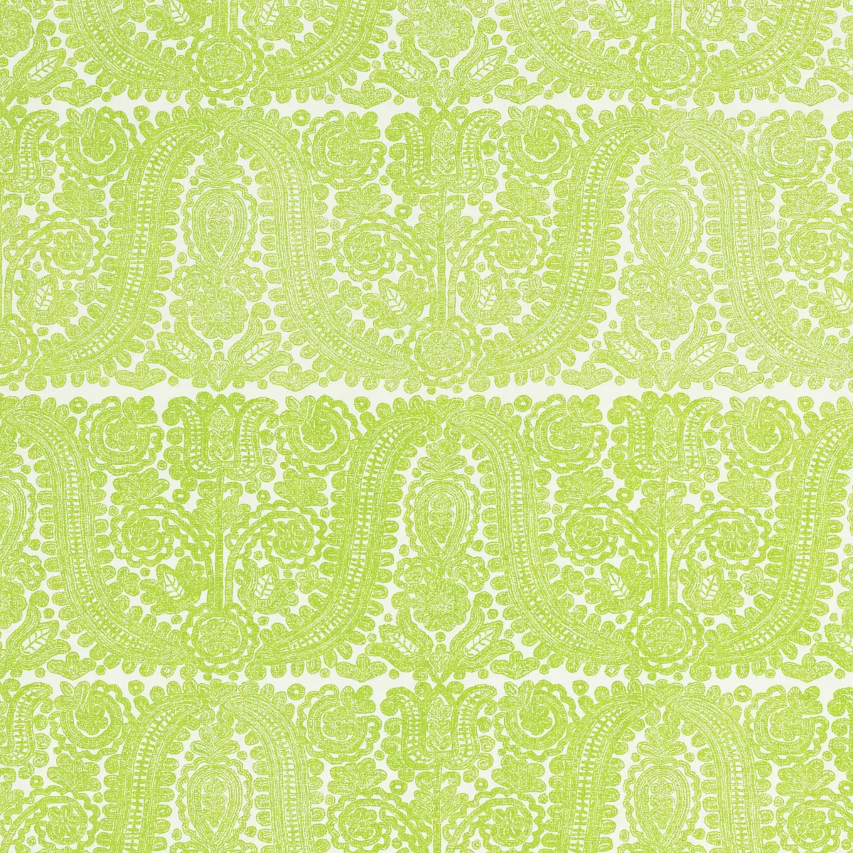 Aurelia_ LAWN