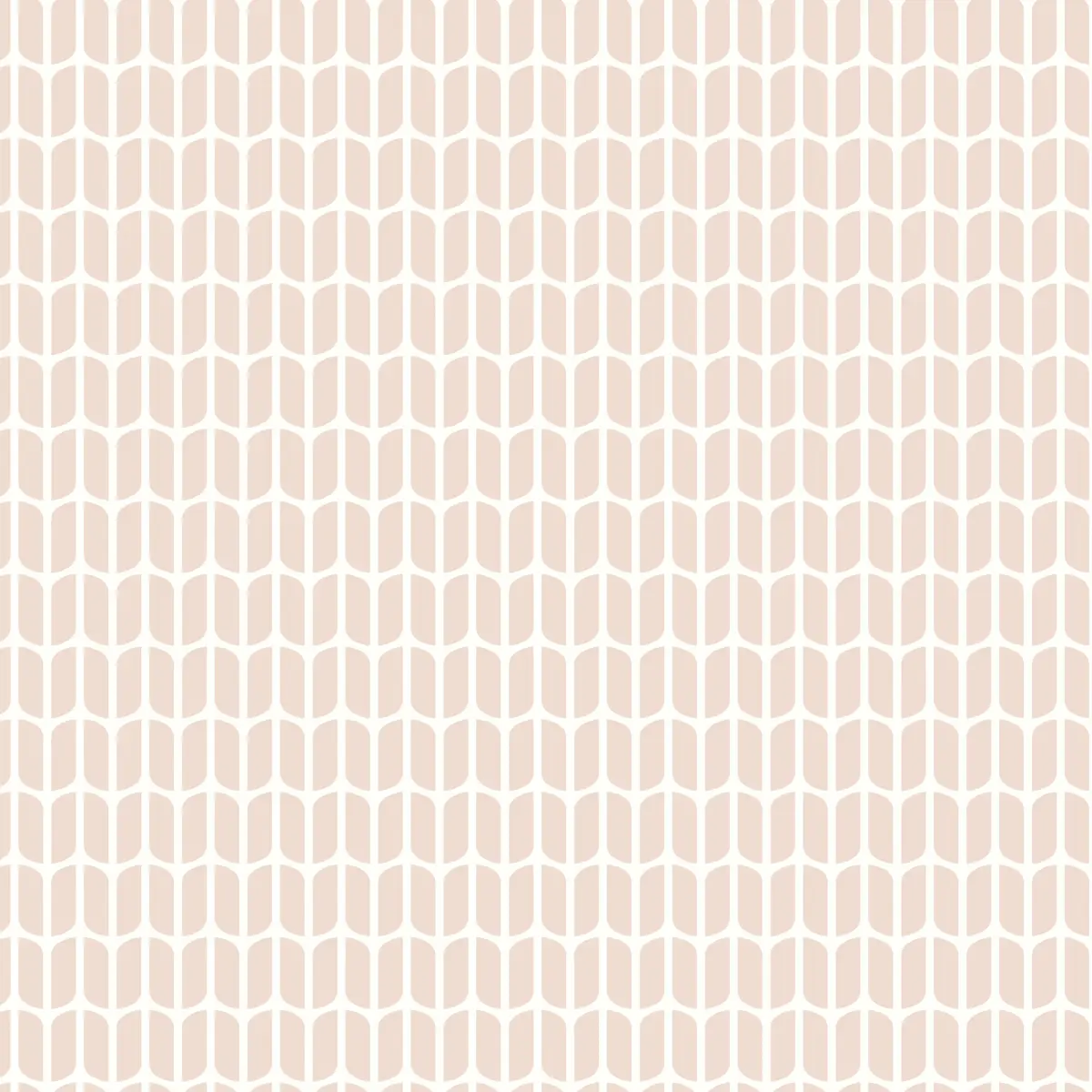 PETAL_ PETAL
