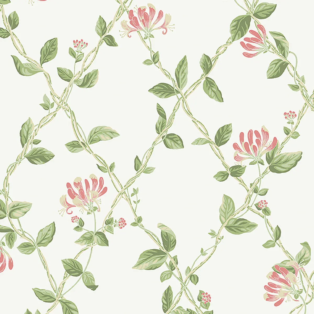 HONEYSUCKLE_ IVORY