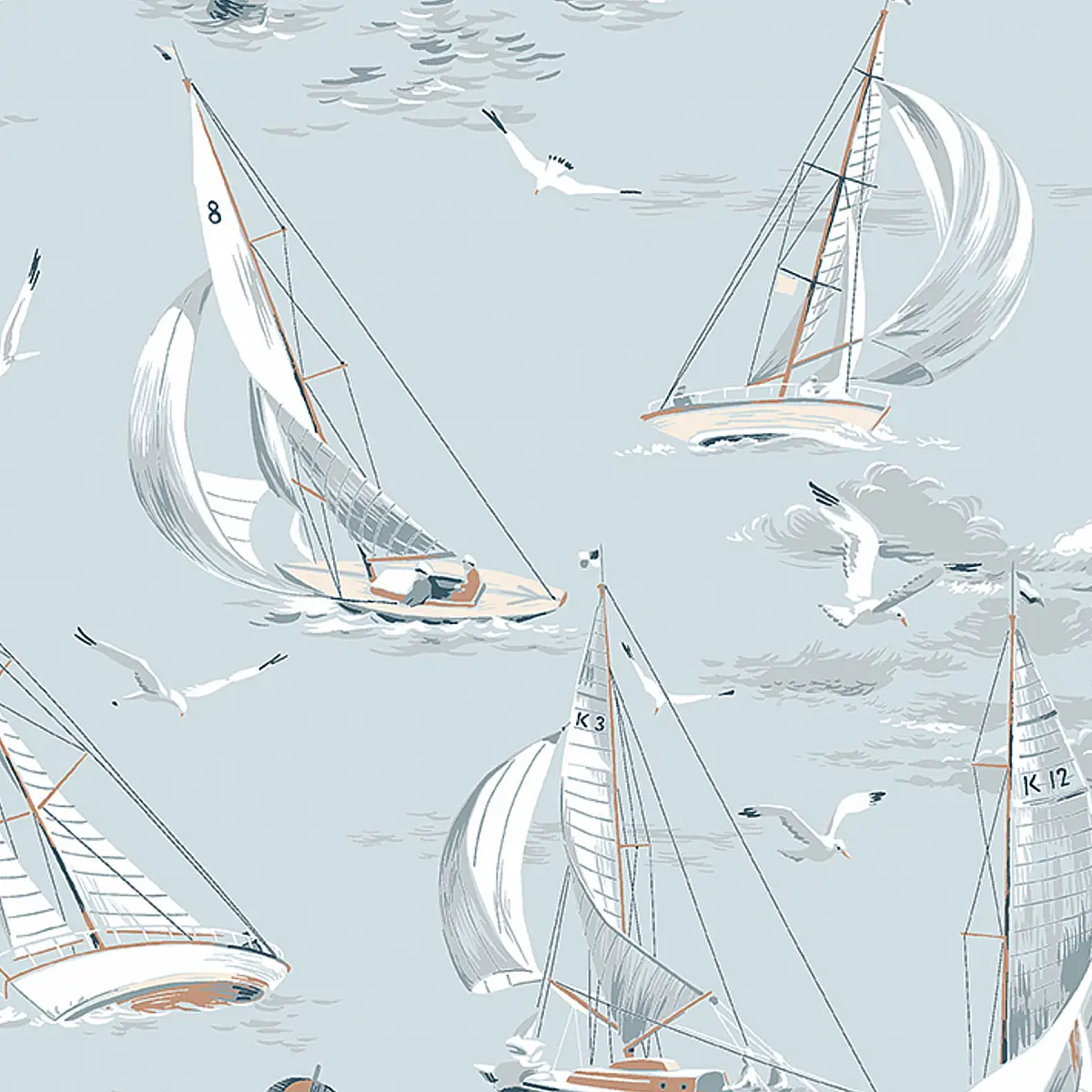 SAILBOATS_ SKY
