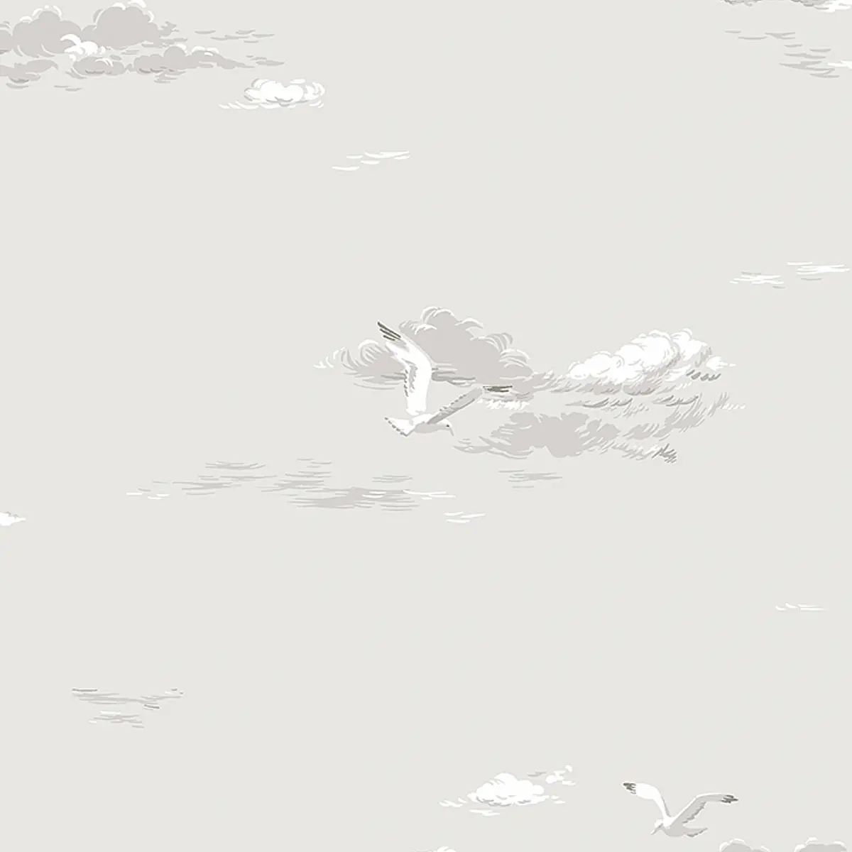 SEAGULLS_ GREY