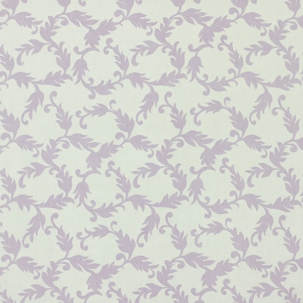 Cyril_ LAVENDER