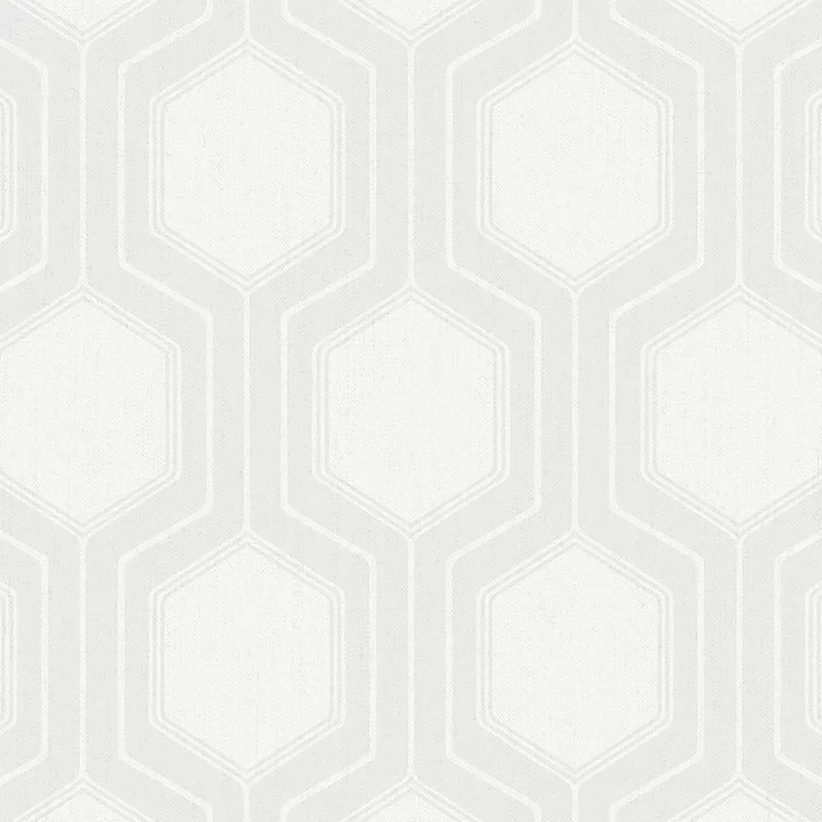 GRAPHIC HEXAGON_ BONE