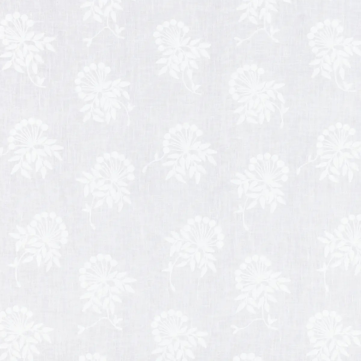 Ana_ WHITE