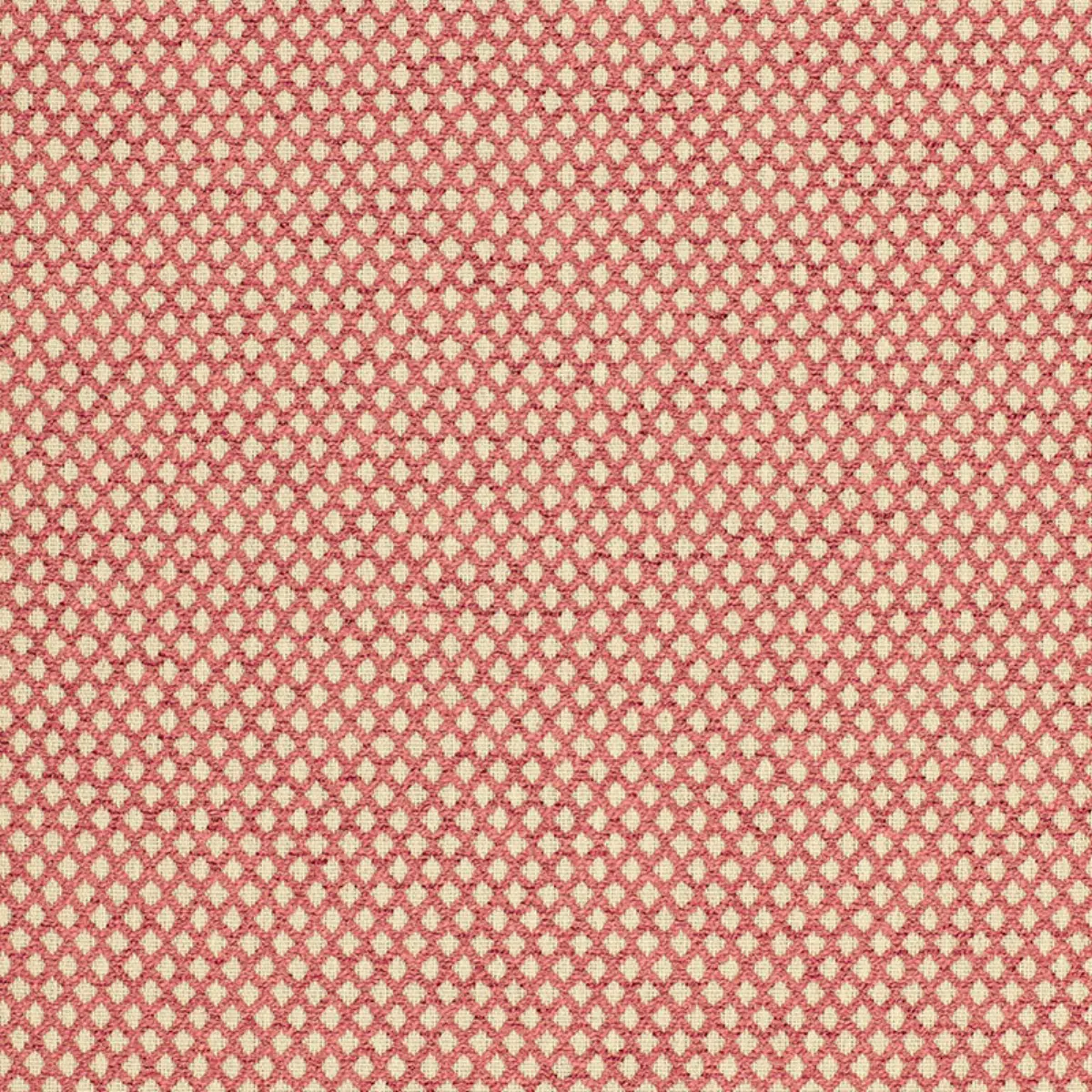 LOSANGE BOUCLÉ_ CRANBERRY