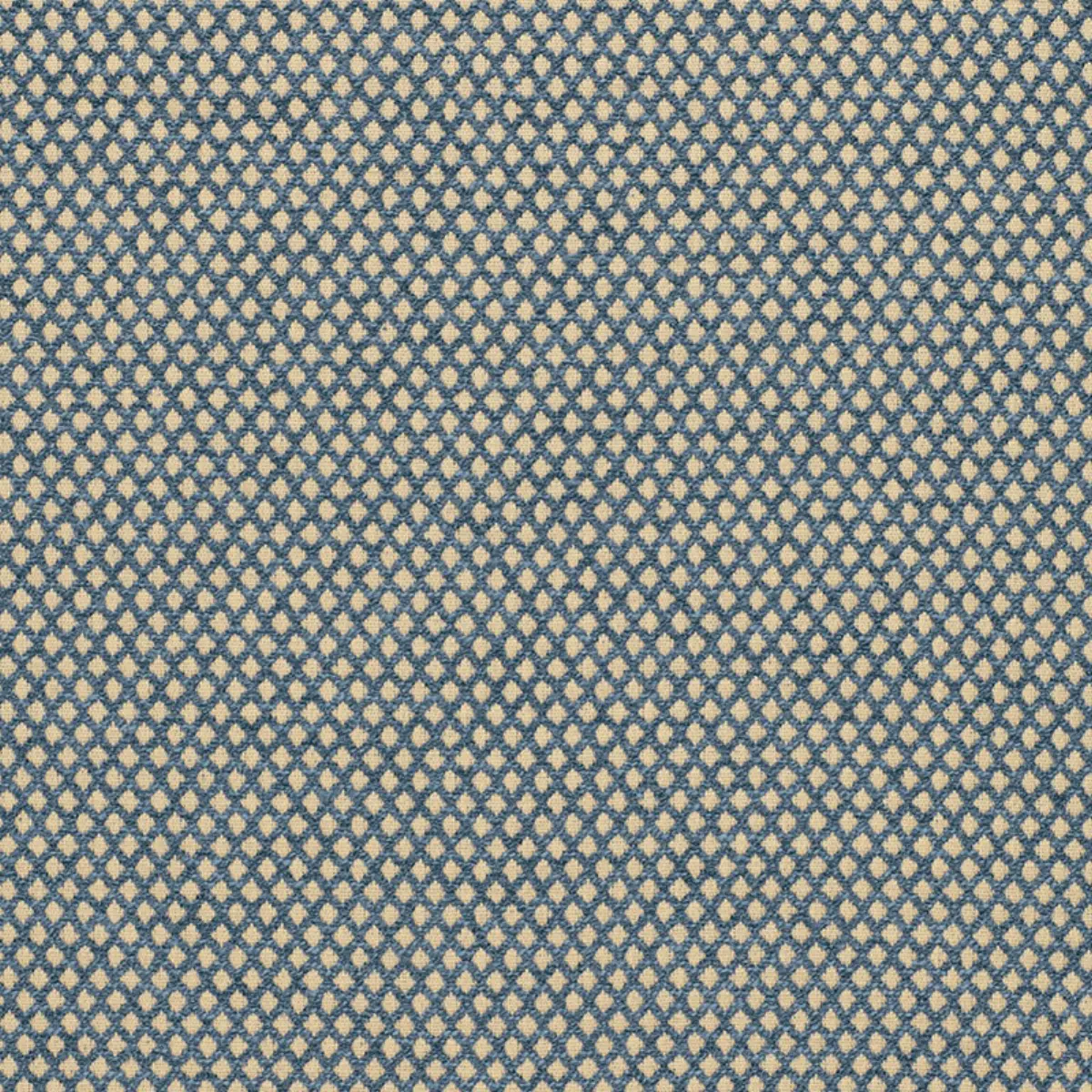 LOSANGE BOUCLÉ_ PRUSSIAN