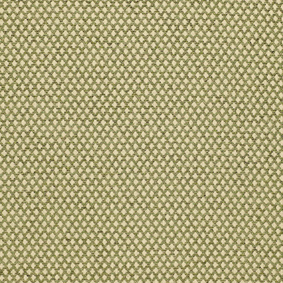 LOSANGE BOUCLÉ_ LEAF