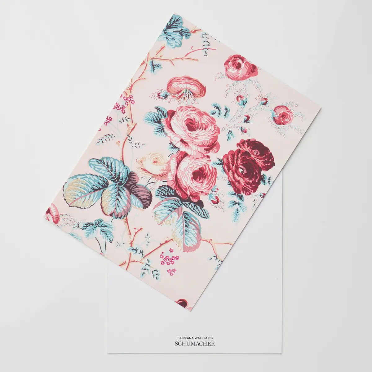 Bounty of Flowers Post Cards_ MULTI