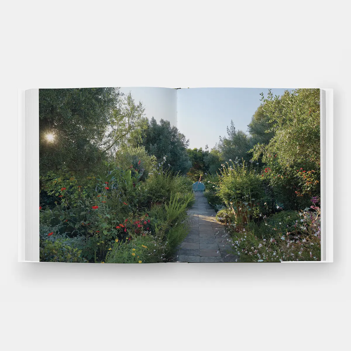 Glorious Gardens_ GREEN & PURPLE