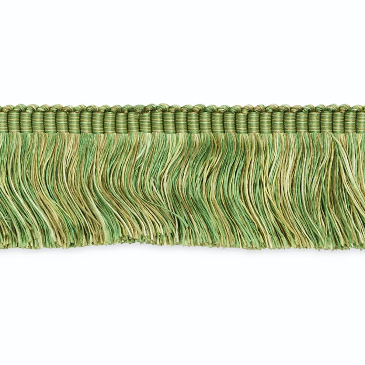 GROUND CUT FRINGE_ BAYLEAF